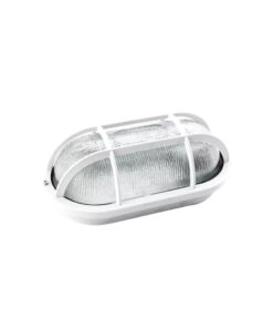 TORTUGA OVALADA PLASTICA BLANCA